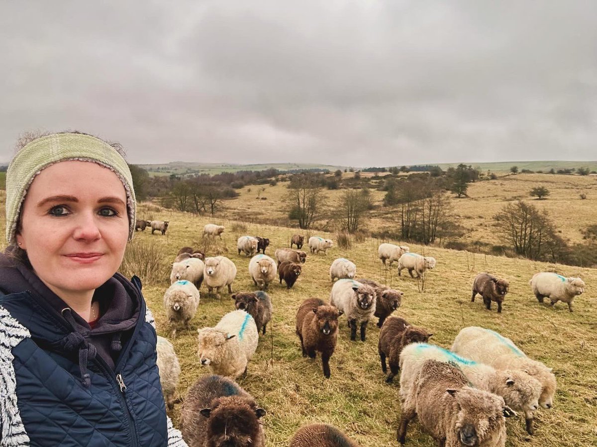 First rule of sheep club.

Never tell anyone how many sheeps you got… 🤫😎😇🙃

#Enough #Sheep #UplandFarming #HillFarm #Shepherdess #FirstGenerationFarmer #FlockEwes #NativeSheep #Ma  #NatureFriendlyFarming #RegenAg #StaffordshireMoorlands #EweLambs #TackLand #TenantFarmer