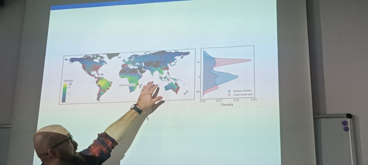 Mercè Palacios tweet media