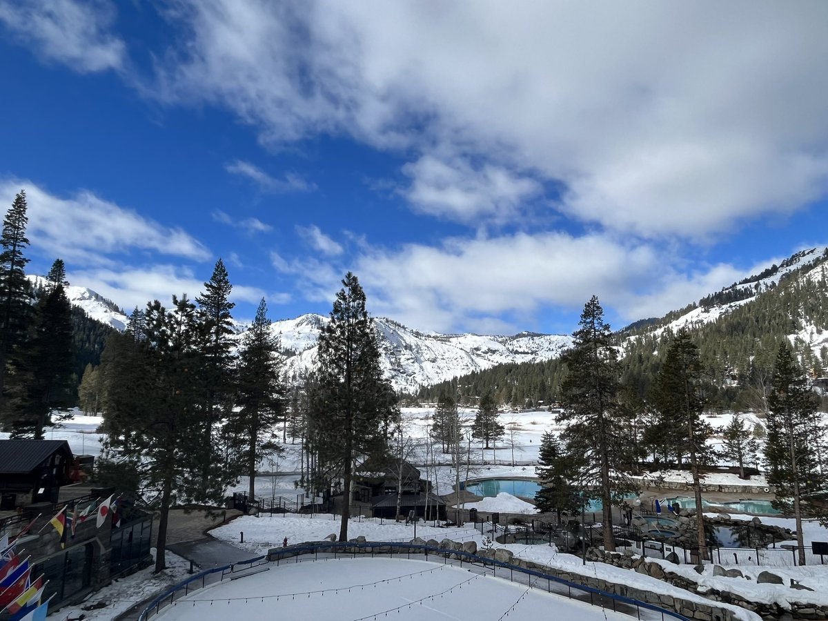 Sarah Ackroyd tweet media