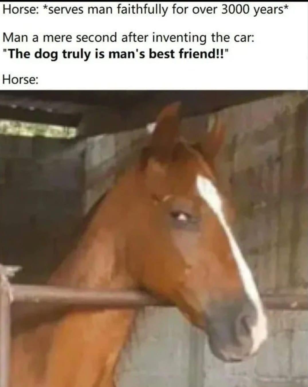 GEtVAQEWwAAcGdv