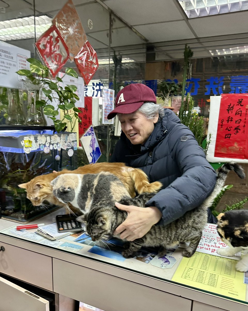 michinara3's tweet photo. 今日の最後はタイ🇹🇭のお店がいっぱいある通り（AEONの近く）の猫が4匹いるクリーニング屋さんに寄って猫を触りまくった😸で、タイ料理を食べた。良い1日だったと思う。おやすみ香港🇭🇰💤 https://t.co/wxX3f9uPol