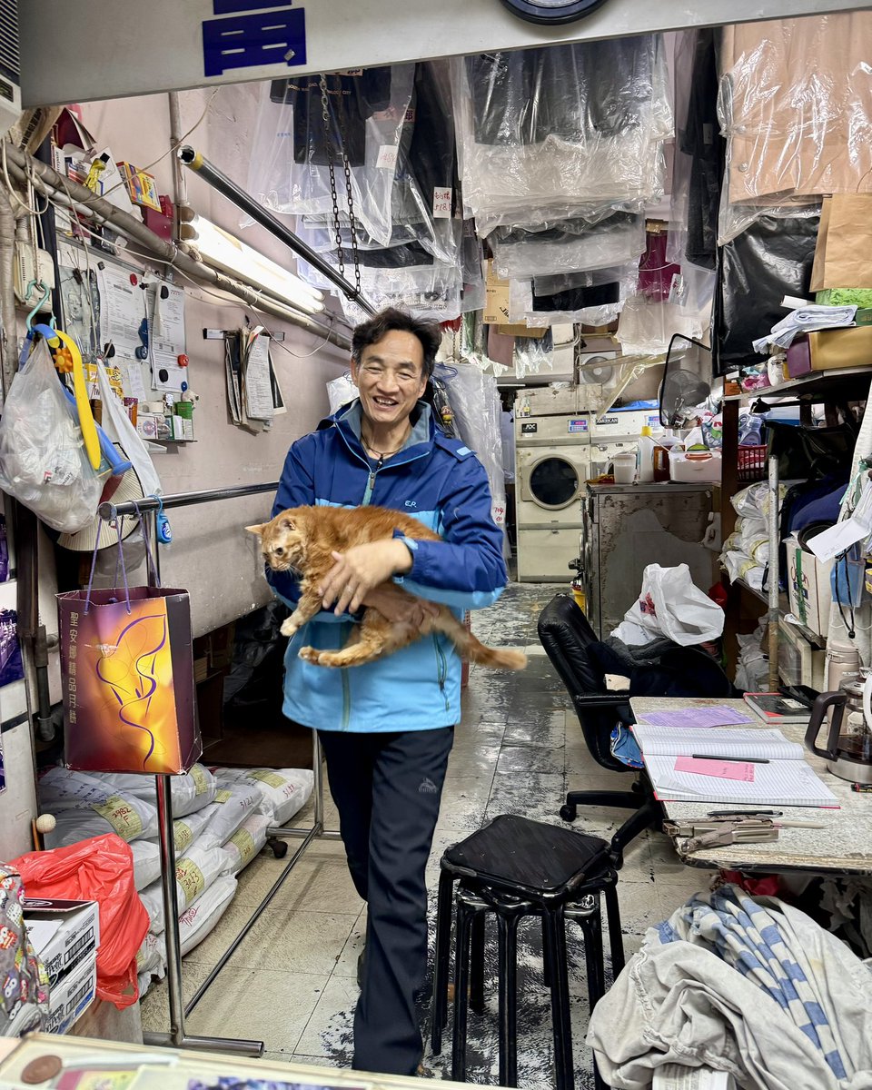 michinara3's tweet photo. 今日の最後はタイ🇹🇭のお店がいっぱいある通り（AEONの近く）の猫が4匹いるクリーニング屋さんに寄って猫を触りまくった😸で、タイ料理を食べた。良い1日だったと思う。おやすみ香港🇭🇰💤 https://t.co/wxX3f9uPol