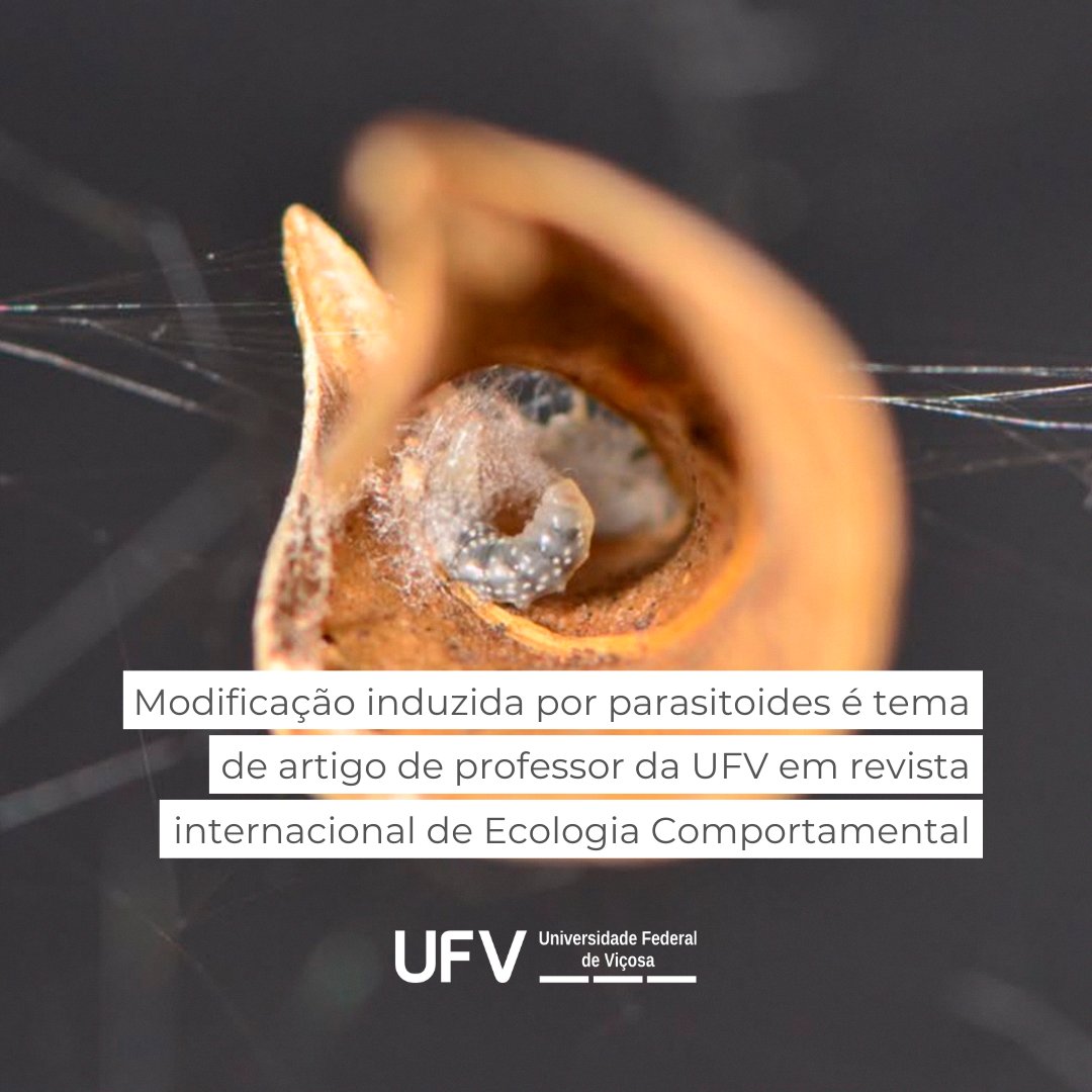 O artigo revela um caso curioso de parasitoides que induzem alterações comportamentais. Ele ocorre na base de grandes árvores da Mata Atlântica, entre aranhas minúsculas e vespas de Darwin: www2.dti.ufv.br/noticias/scrip…