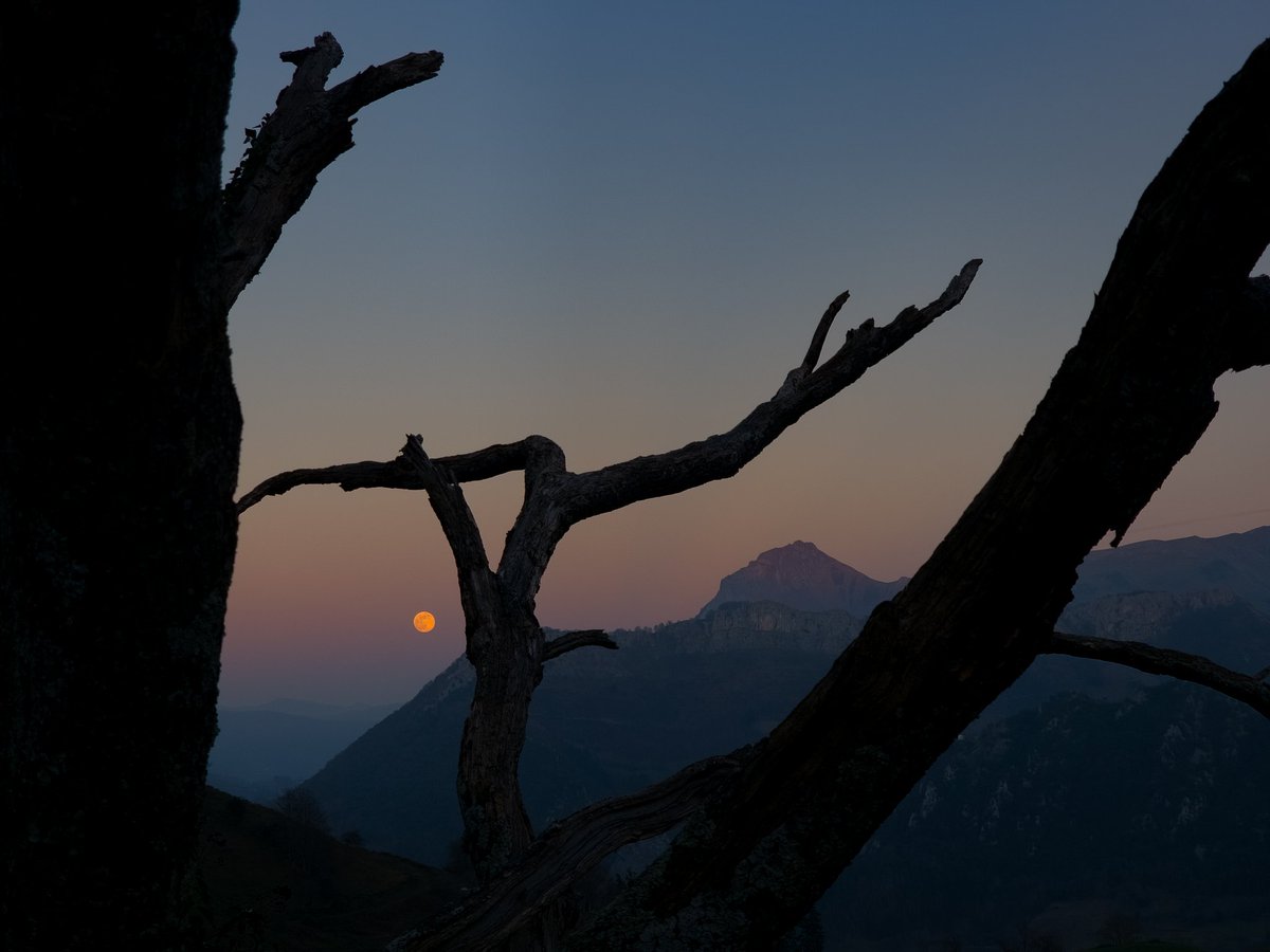 Hodeison's tweet image. Gaurko iluntzea Ataunen.
Ilargia ta Txindoki 🥰🥰🥰