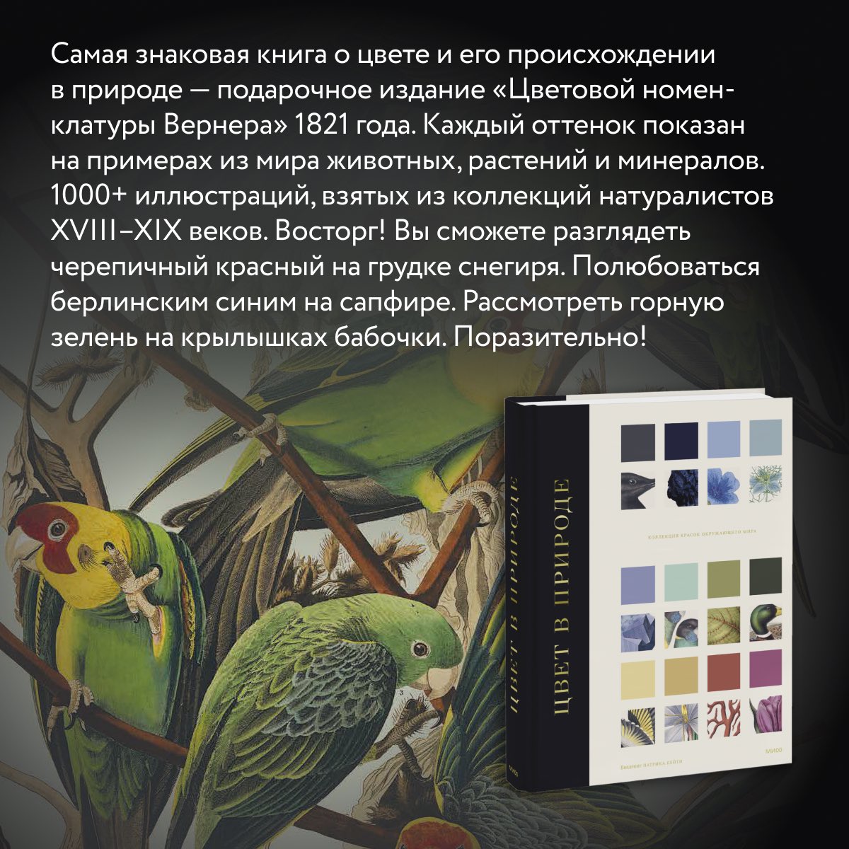 Издательство МИФ tweet media