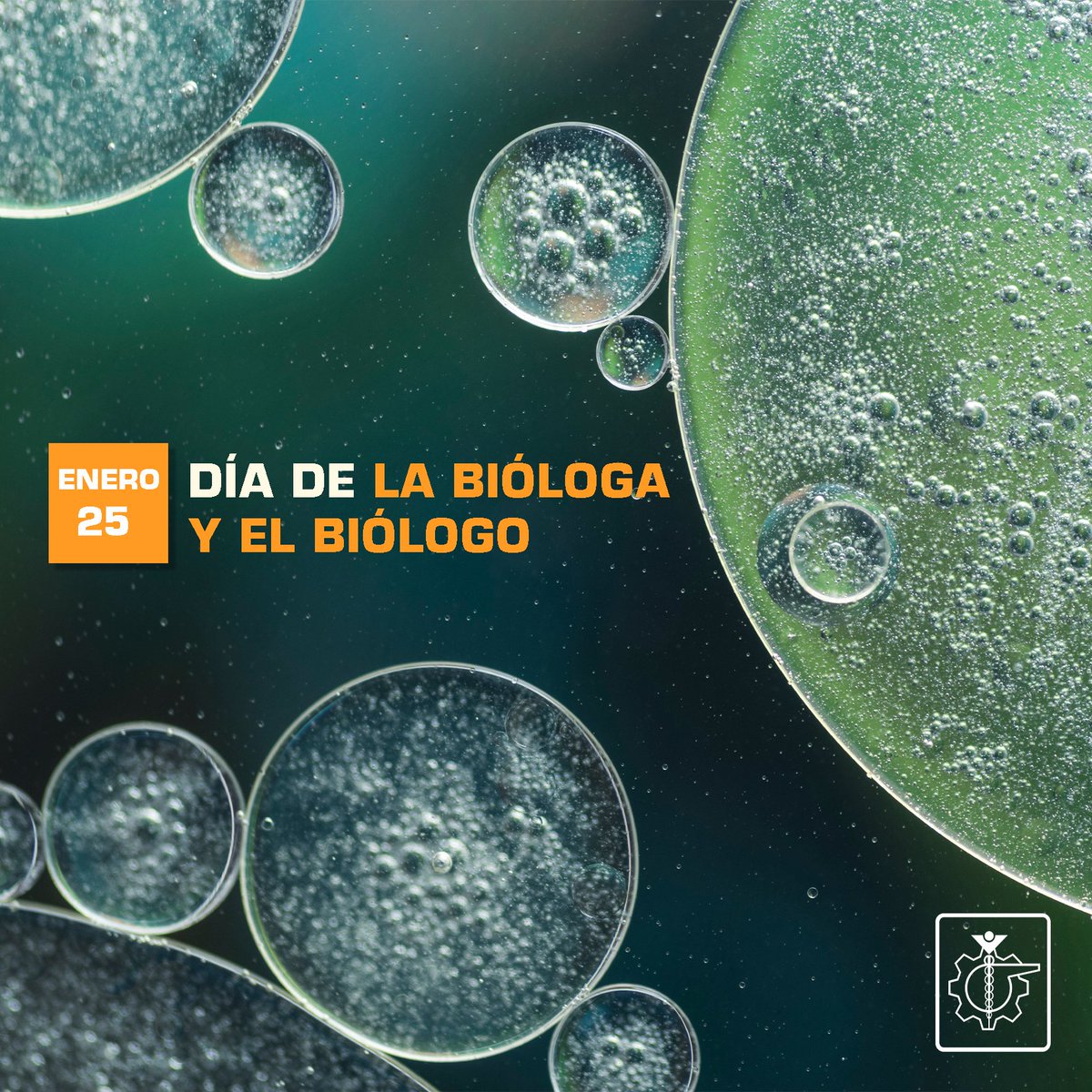 microanalisis's tweet photo. ¡Felicidades! 🎉🎊
#DíaDeLaBiología #DíaDelBiologo #Biología #Ciencia https://t.co/FDggc8gFDy