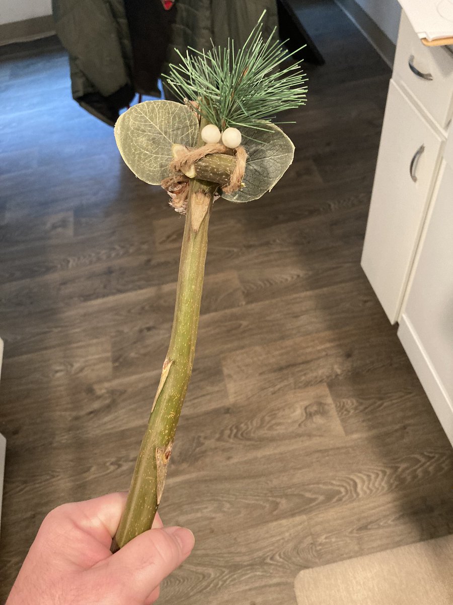 I made a Neopets wilderness hairbrush. #neopets