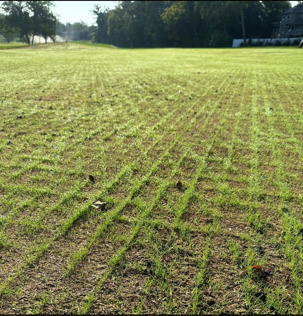 Richard Hurley, PhD tweet media