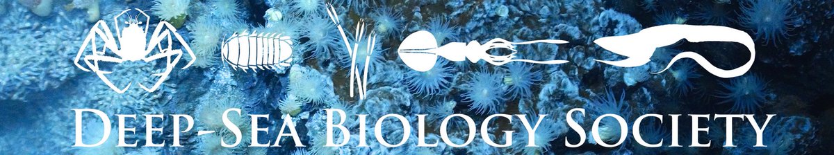 Janet M. Ferguson-Roberts | @janetmfr.bsky.social tweet media