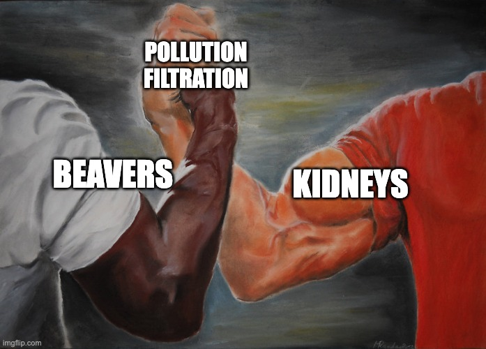 My guy @weddellite has become one of the nephrology community's leading voices for climate action. Check out his new paper about why kidney docs should talk to their patients about global warming. #nephtwitter