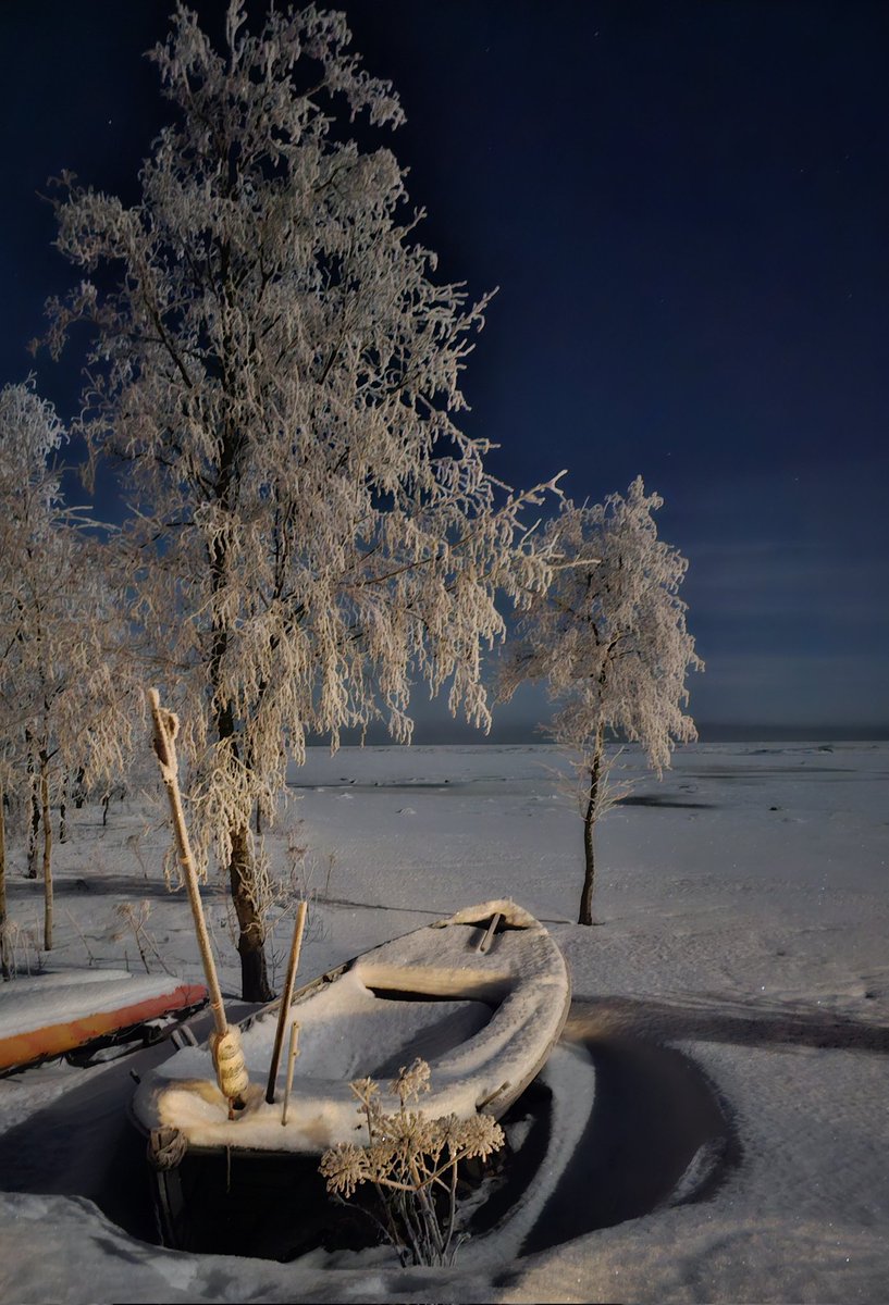 Kuun valaisema maisema.