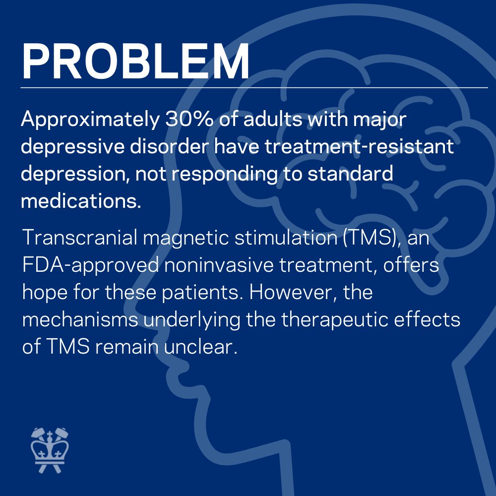 Columbia Engineering (@cuseas) on Twitter photo Welcome to our first #ThesisThursdays of the year! To start off 2024, weβre spotlighting <a href="/ColumbiaBME/">Columbia BME</a>
Hengda Heβs research into major depressive disorder, specifically treatment-resistant depression. Welcome to our first #ThesisThursdays of the year! To start off 2024, weβre spotlighting <a href="/ColumbiaBME/">Columbia BME</a>
Hengda Heβs research into major depressive disorder, specifically treatment-resistant depression.