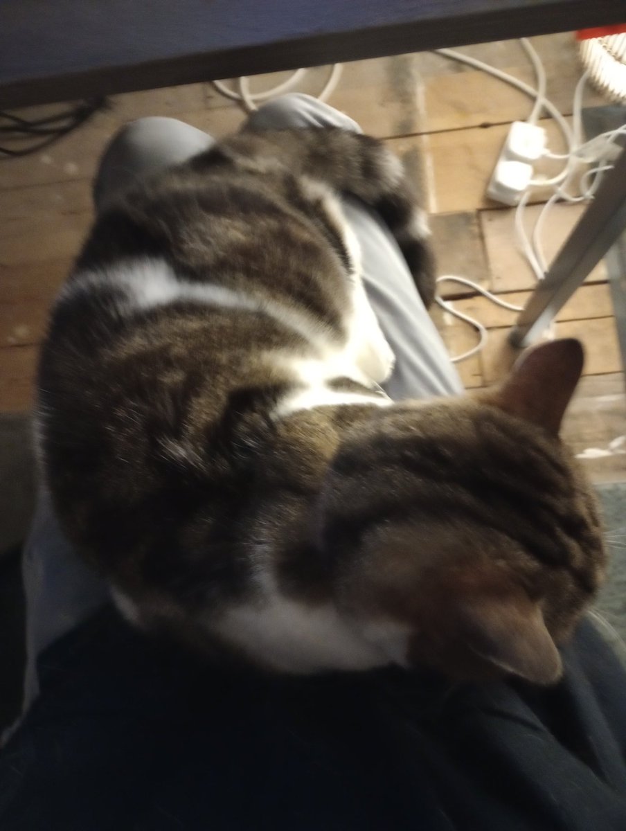 DoctorCharion tweet media