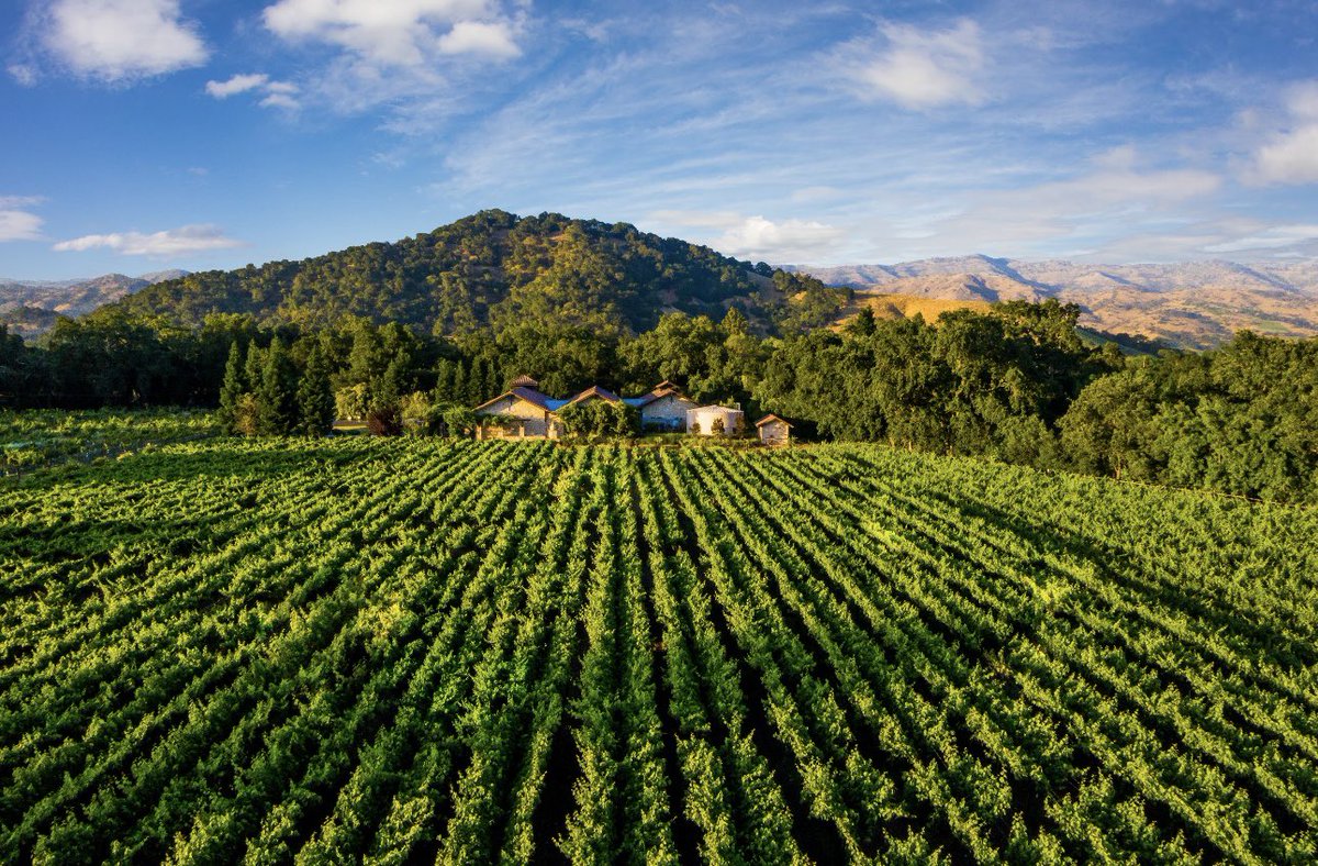 Producing hand-crafted wines, while delivering memorable experiences to our guests. A leader in single-clone Cabernet.
#bellwinecellars #napa #wine #winery #winetasting #singleclone #cabernetsauvignon