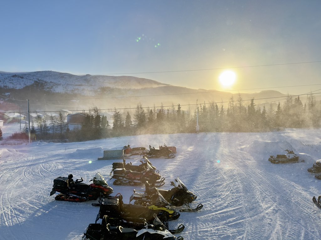 €lsie Russe|| ❄ (@labradorgirl65) on Twitter photo 