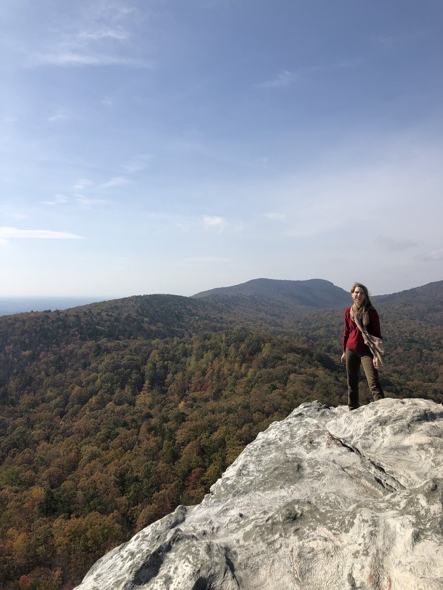 Anna Stein tweet media