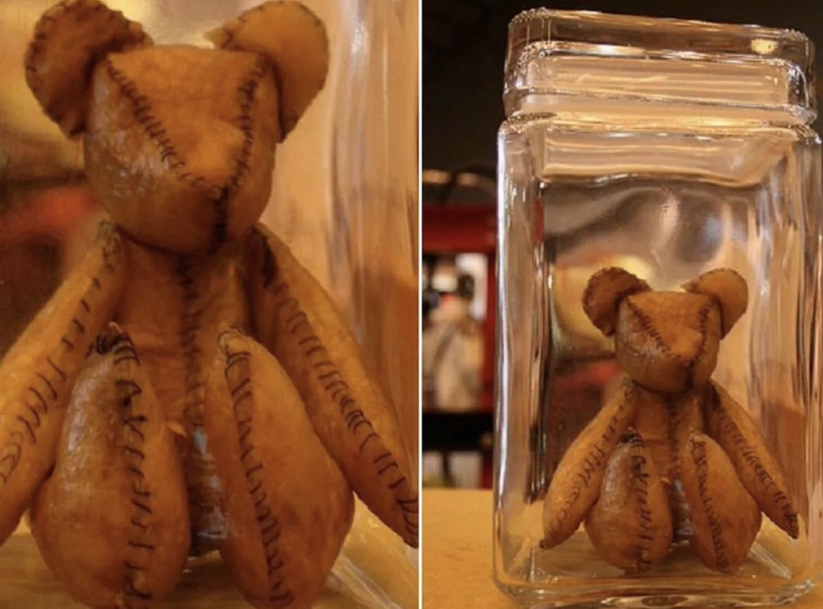This is a Teddy bear made out of human placenta. The placenta is cut in half and rubbed with sea salt in order to cure it. After it is dried out, it is treated with an emulsifying mixture of tannin and egg yolk to make it soft and pliable. Then, it is crafted into a teddy bear.