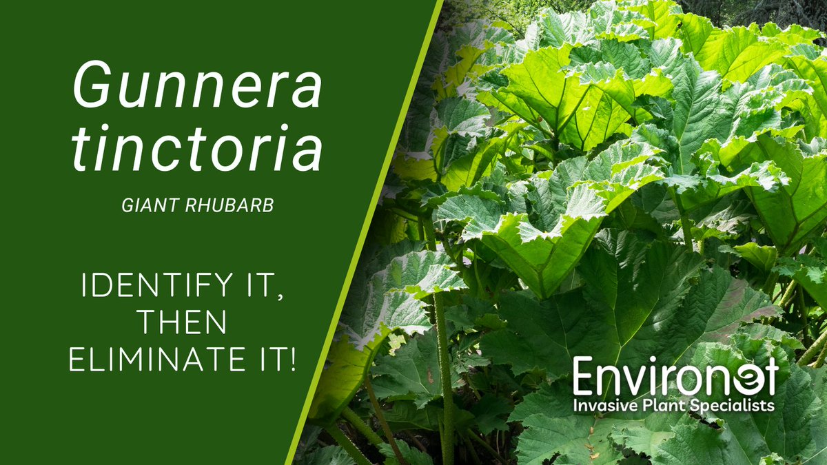 Environet UK Ltd tweet media