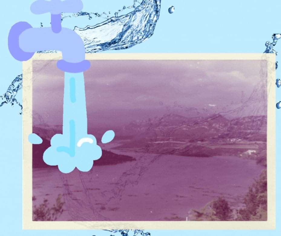 'L'aigua és la força motriu de la naturalesa' (Leonardo da Vinci) 🍀🫧💧🌧️🌈 A l'ACAE estem conscienciades i ho sabem, l'aigua és vida, un tresor líquid que hem de cuidar cada vegada més #xac #patrimoninatural #aigua #panta #water
