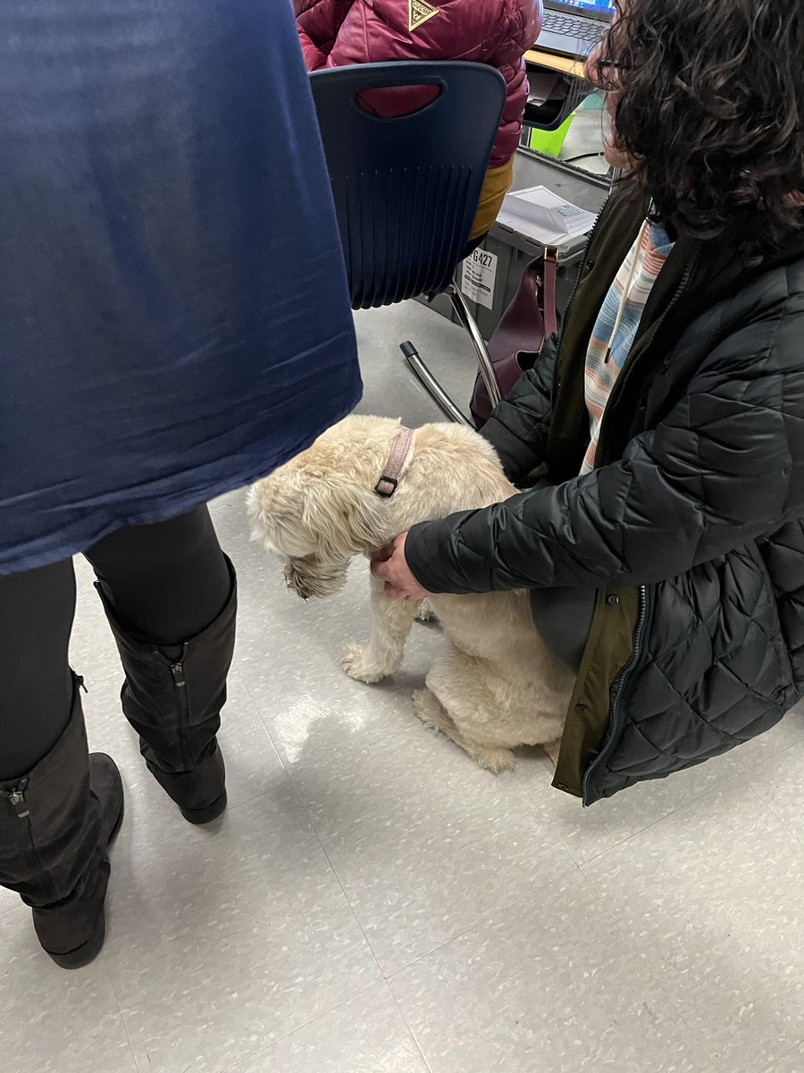 South Lakeās Community School Liaison (@southlakecsl) on Twitter photo We received a paw-tastic visit from Roxy and PALS. Roxy is a therapy dog that will be visiting <a href="/SouthLakeES/">SouthLakeES</a> weekly and we are pumped to have her! We received a paw-tastic visit from Roxy and PALS. Roxy is a therapy dog that will be visiting <a href="/SouthLakeES/">SouthLakeES</a> weekly and we are pumped to have her!