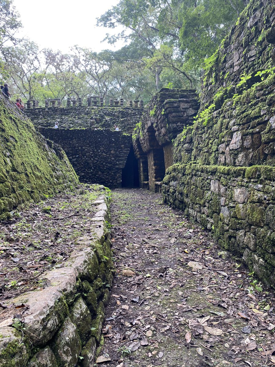 Sandy_2804_'s tweet photo. @Cuauhtemoc_1521 Totalmente de acuerdo, Yaxchilán, de los lugares más impresionantes, una lástima que esté pasando todo esto en Chiapas 😕 https://t.co/1BOs9rlaBc