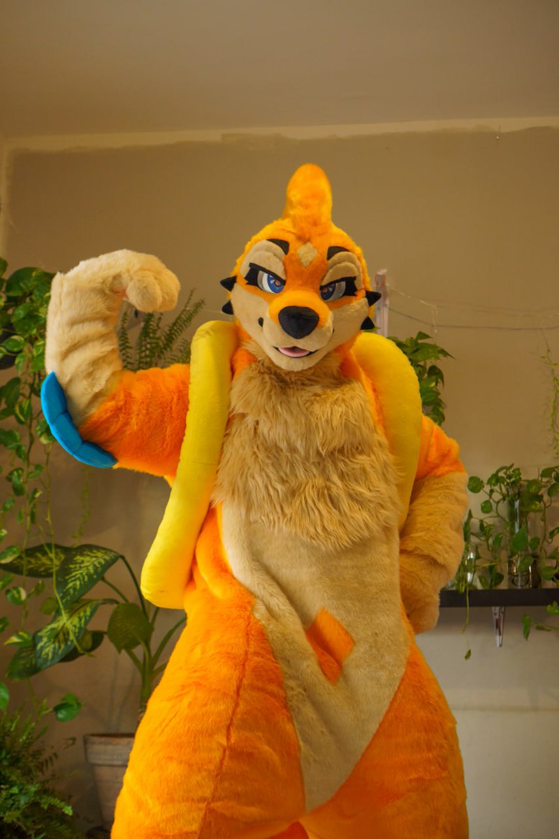 ✨ KATSU✨ tweet media