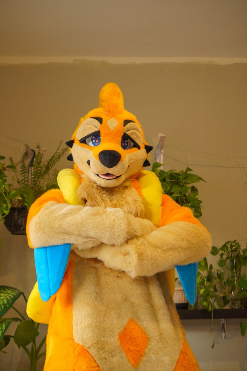 ✨ KATSU✨ tweet media