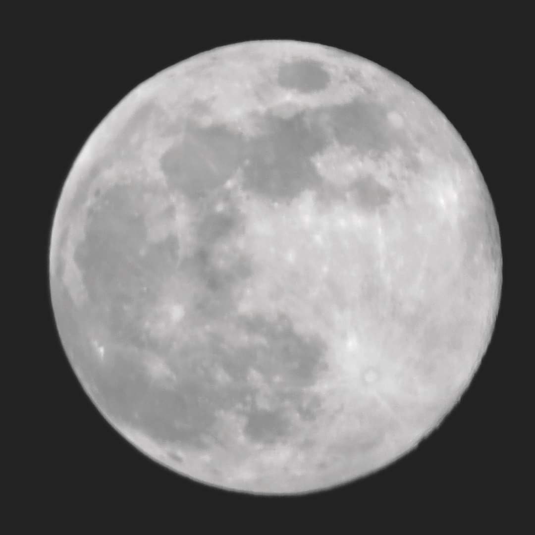 Chuckles065's tweet photo. Full Wolf Moon this evening in South Norfolk @liamdutton @EDP24 https://t.co/V7d3W2ND1d