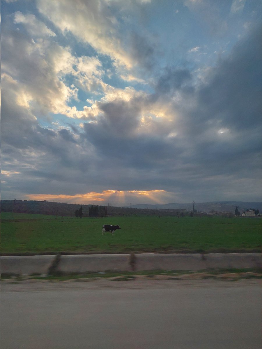 kalaragga's tweet photo. #NorthWestSyria after 13 years of conflict, 10.000 buildings destroyed after de #Earthquake and 4.3 Million IDPs is also all of these....lands, beauty, corageous communities and hospitality....#ProtectionCluster https://t.co/hIkWpbtoFD