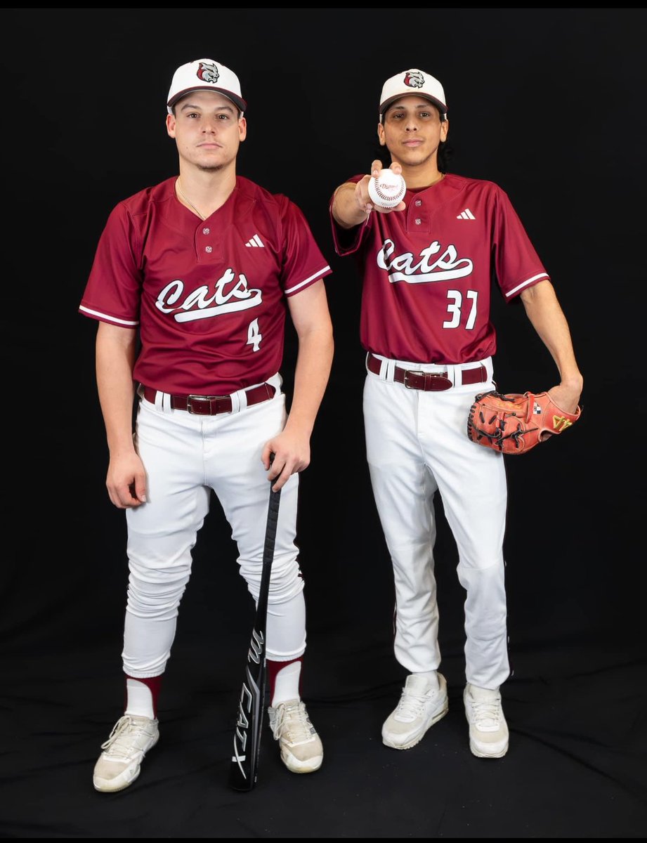 Joe Coelho tweet media