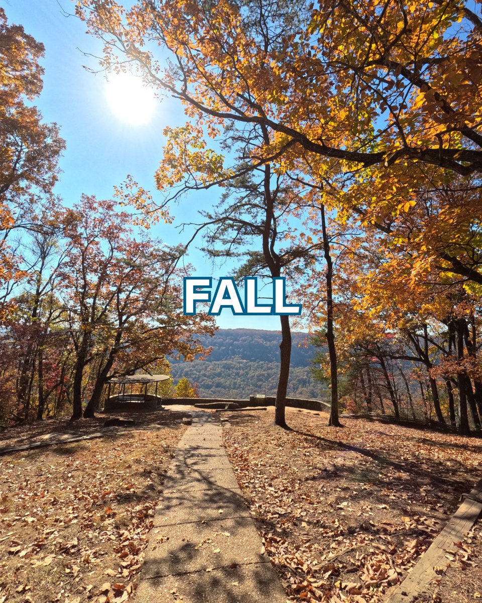 Spring and fall have our hearts, what about you? Which season suits Chatt the best? #visitchatt #chattanooga #seasons