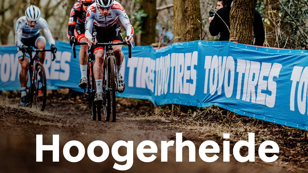 cyclingbe's tweet photo. Zondag 28 januari 2024
Wereldbeker veldrijden Hoogerheide (Ned)
#WBCXHoogerheide #wwbe https://t.co/iSM3PAetDU