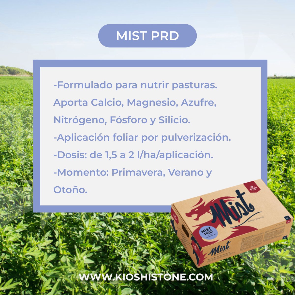 Kioshi Stone S.A. tweet media