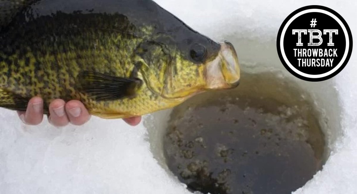 OODMag's tweet photo. Ready up for the ice with 98 tips and tricks from pros.
https://t.co/REnIAi7OYN
#Hunting #Fishing #Outdoors #News #ThrowbackThursday #TBT #Jigging #IceFishing #IceFishingTips #IceFishing101 #OutdoorLife #OutdoorAdventure #FrozenFishing #IceFishingFun #IceFishingDaily #Angling https://t.co/bqYRDexAKE
