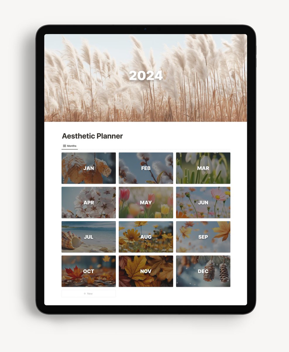 Solt Wagner tweet media