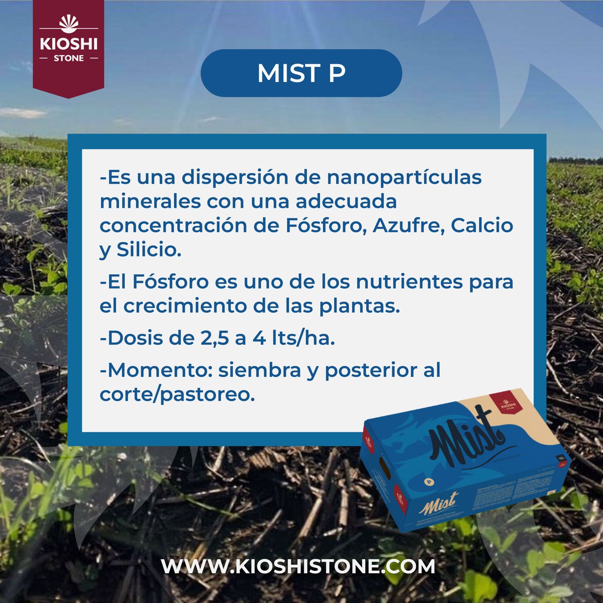 Kioshi Stone S.A. tweet media