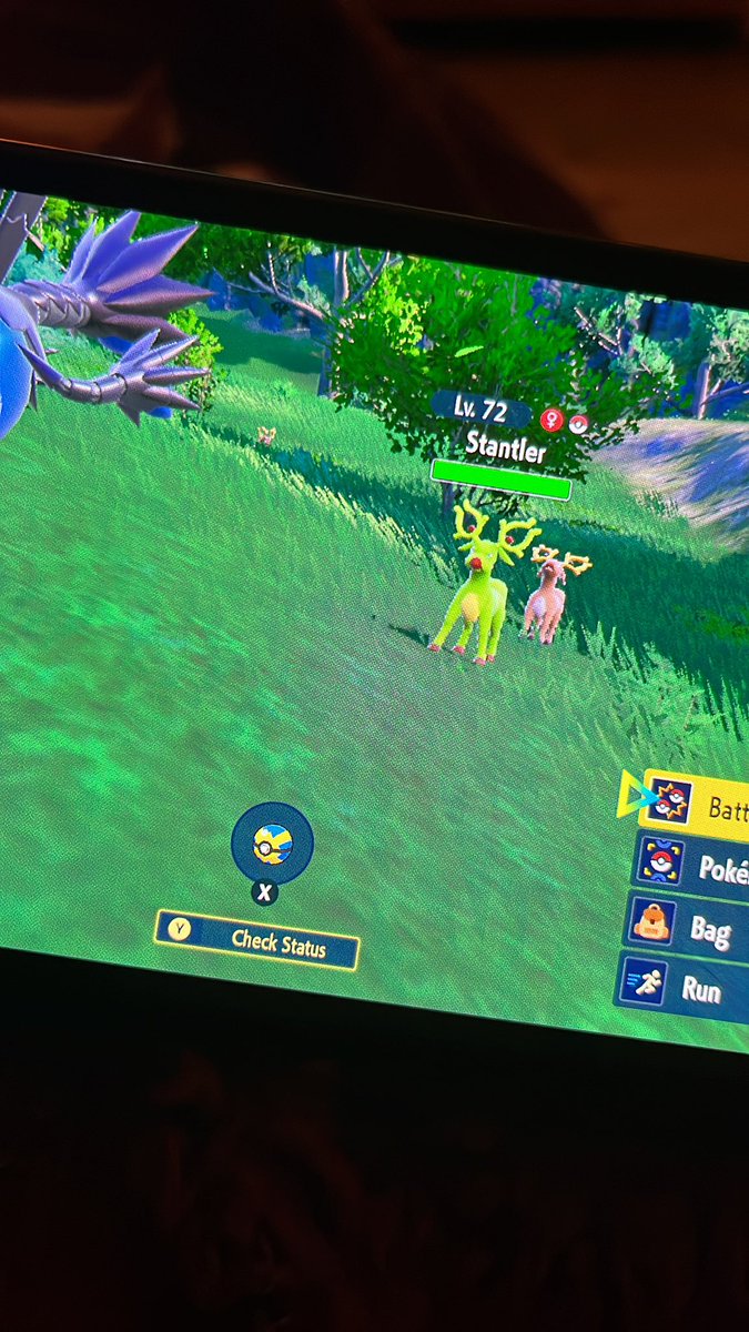 IceQueenFroslas's tweet photo. I finally downloaded the DLC today and I found a shiny, yay! https://t.co/Ev4lZyipym