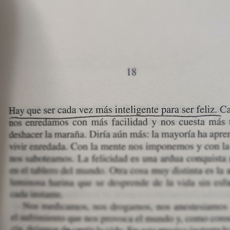 El artesano de la calle Oviedo
arscesis.com/product-page/e…