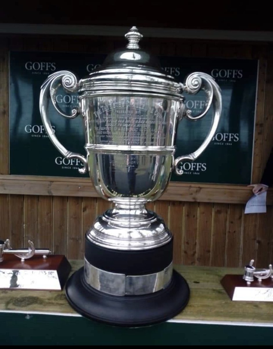 Brilliant day <a href="/GowranPark1/">Gowran Park</a> park today for the <a href="/Goffs1866/">Goffs</a> Thyestes Chase. Congratulations to Eddie and all of his team. MOT.