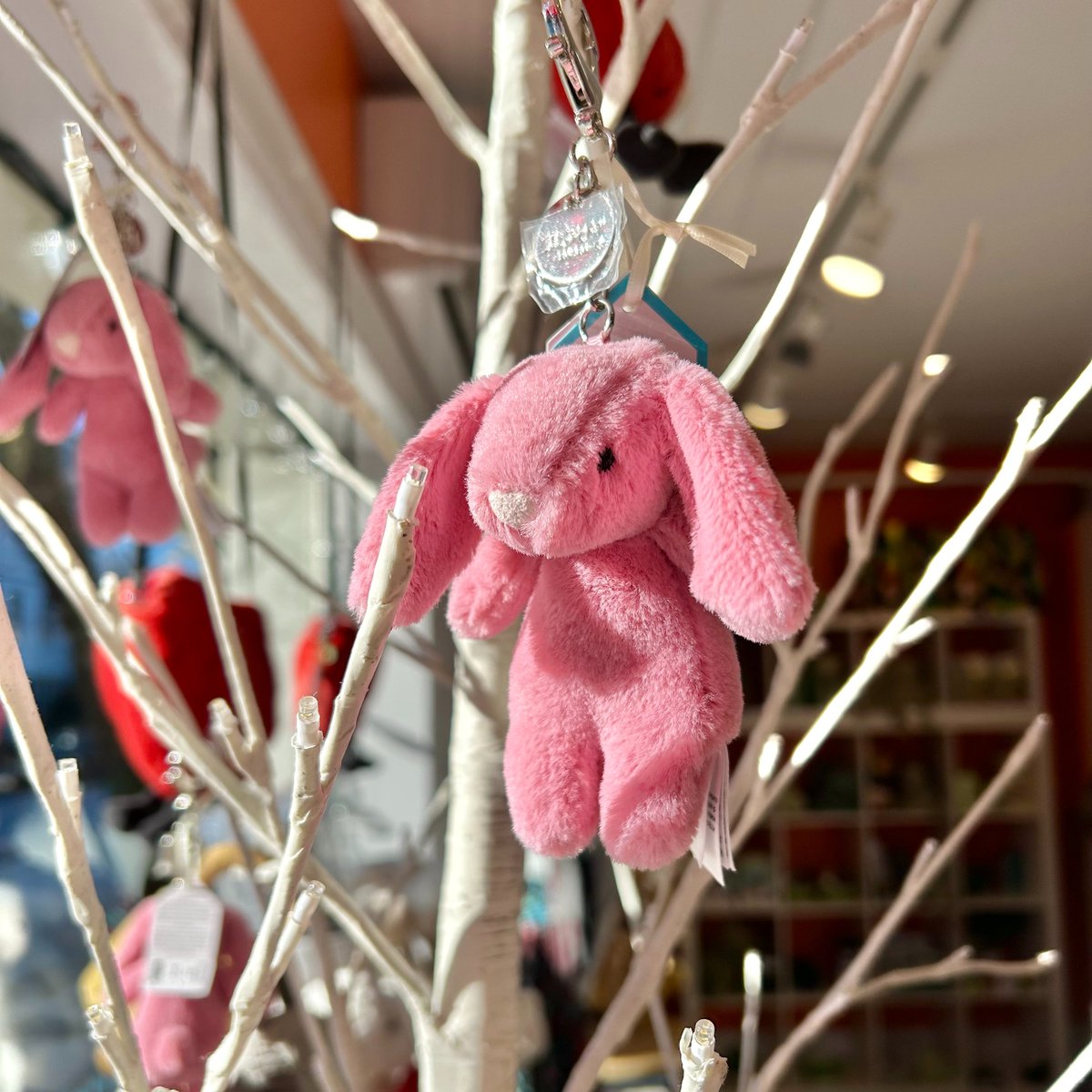 Hang onto the sweetness of life with a pink bunny Jellycat bag charm. 🌸🐰

#sweetjanes #fyp #shoplocal #smallbusiness #halifax #downtownhalifax #novascotia #jellycat #jellycats #jellycatlondon #jellycatbunny #jellycatbagcharm #pinkbunny #valentinesday #ValentinesGifts