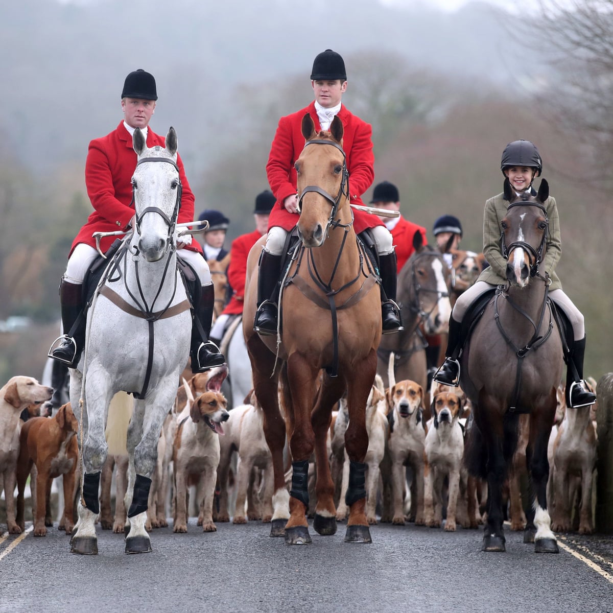 If you're one of these nasty little animal abusers, who breeds dogs that are kept in disgusting conditions all their lives, starved & taught to tear foxes to death, just fuck the fuck off our planet, you violent entitled scumbag! 
#FoxHunting #C4News