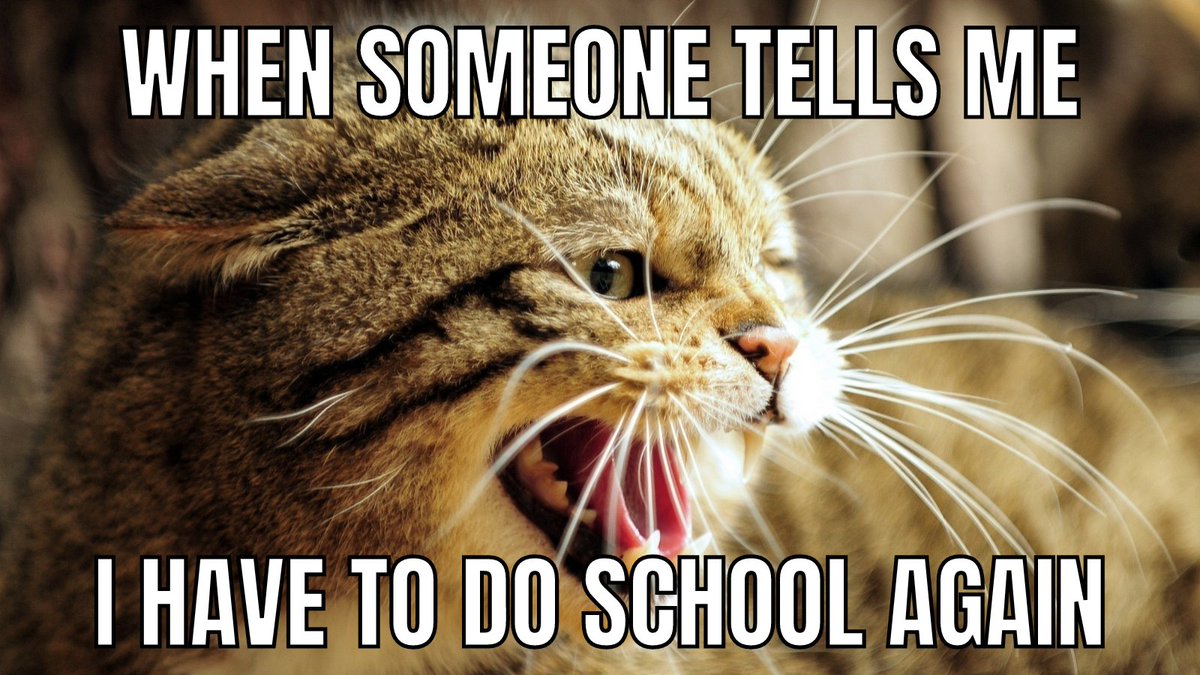 bmcsween384's tweet photo. I have to do this school thing again?

@mimsPR #COMM384 #MimsPR #CollegeStudent https://t.co/x8bz4SBQok