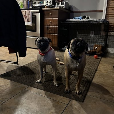 #NewProfilePic