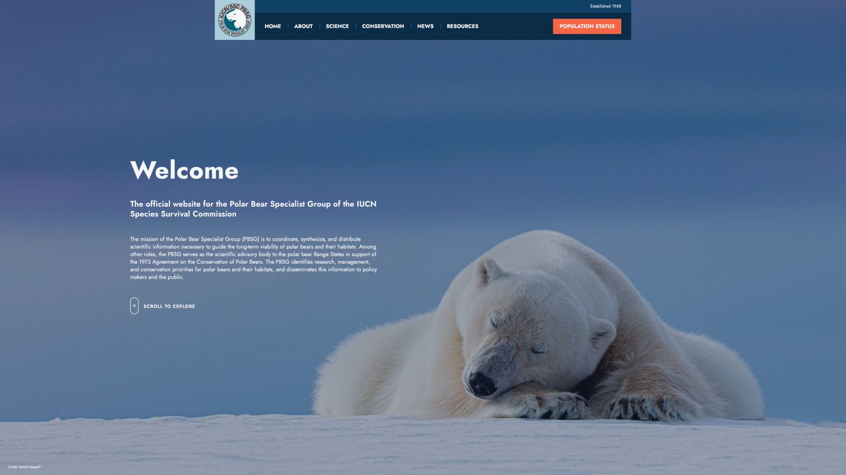 Andrew Derocher tweet media