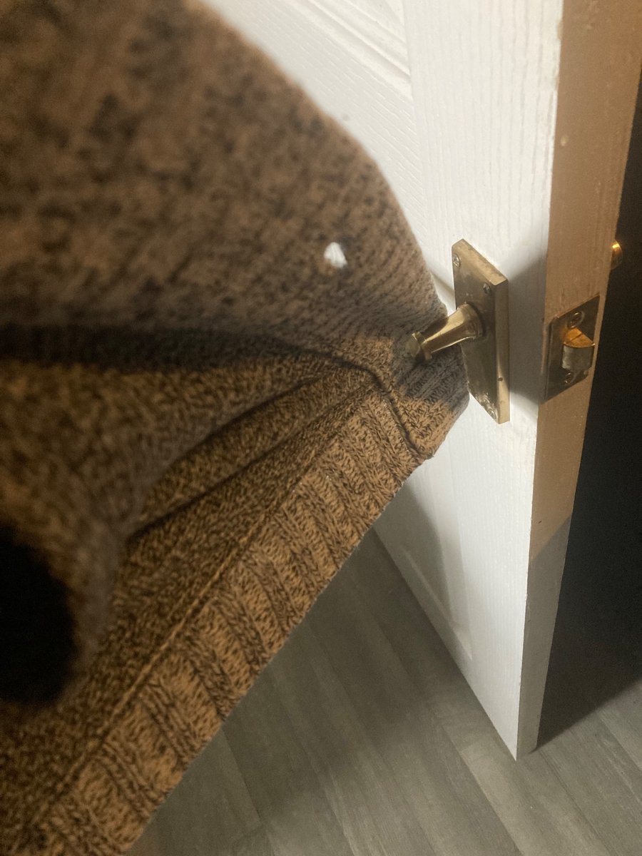 this is how I’ll die in the zombie apocalypse.