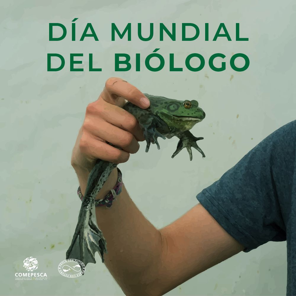 Para la pesca y la acuacultura, la labor del biólogo como investigador, estudioso o desarrollador de nuevas técnicas o prácticas para el manejo y conservación de especies es fundamental. Reconocemos su trabajo, sus aportaciones y su compromiso.