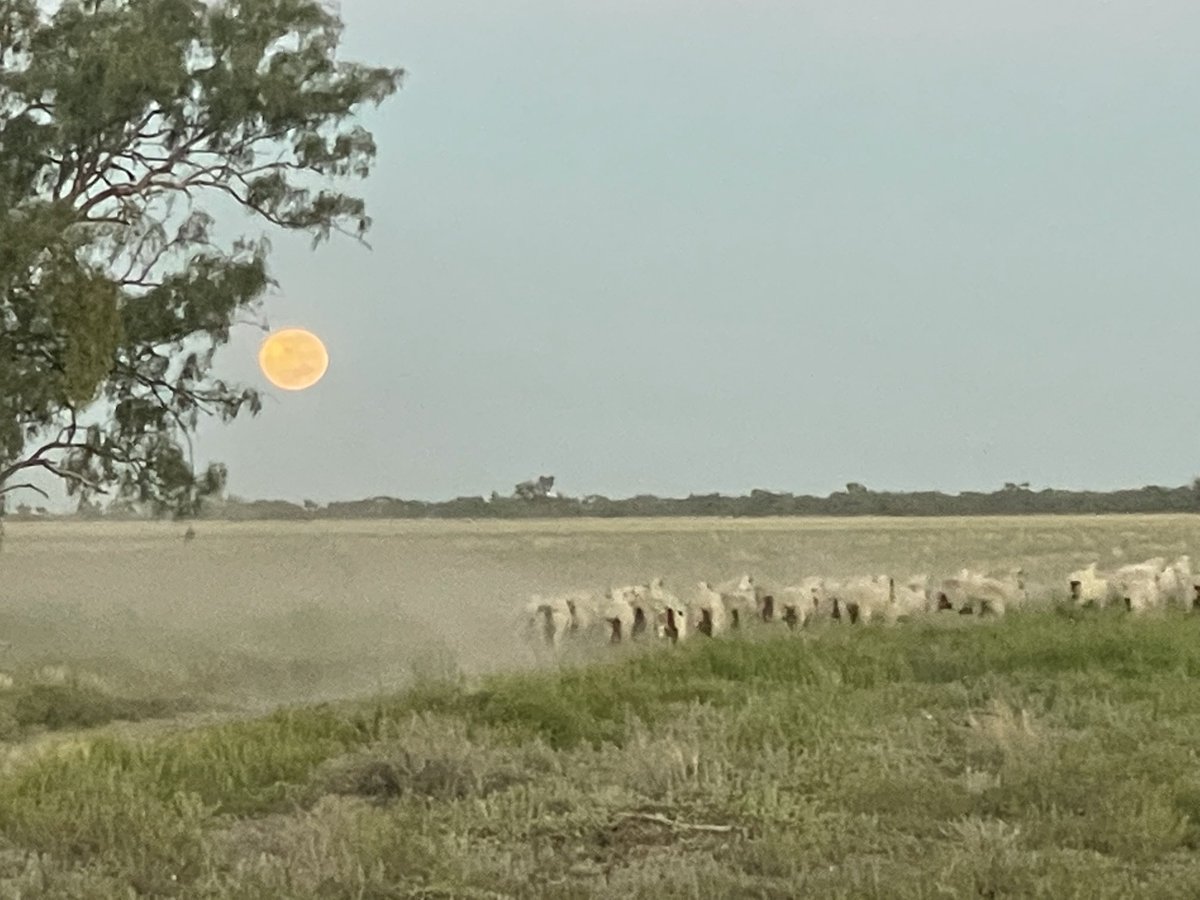 💧Ed Fessey tweet media