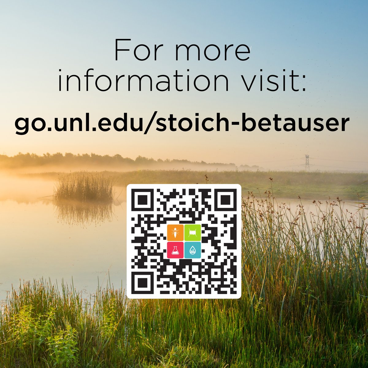 EcoStoich_Cooperative106161 tweet media