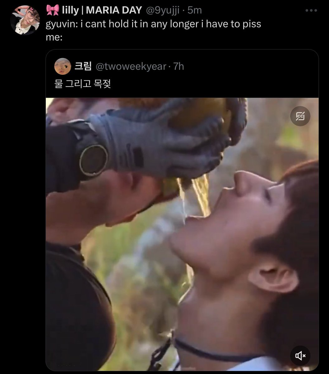 gyujjis struggles (@gyujjistruggles) / Posts / X