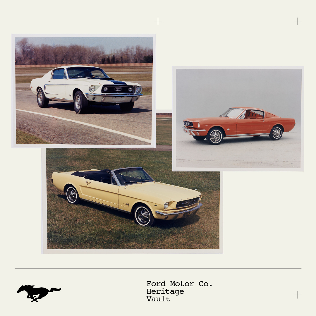FordMustang's tweet photo. “The top 3 colors for Mustang have been red, blue &amp; white. Yellow holds a place in my heart, as my dad had a ’66 yellow Mustang.” —Ted Ryan, Ford Archives &amp; Heritage Brand Manager

Discover more at https://t.co/N7T9Glwx6I

Archival footage shown. Claims based on historical data. https://t.co/pbz2EdbEaQ